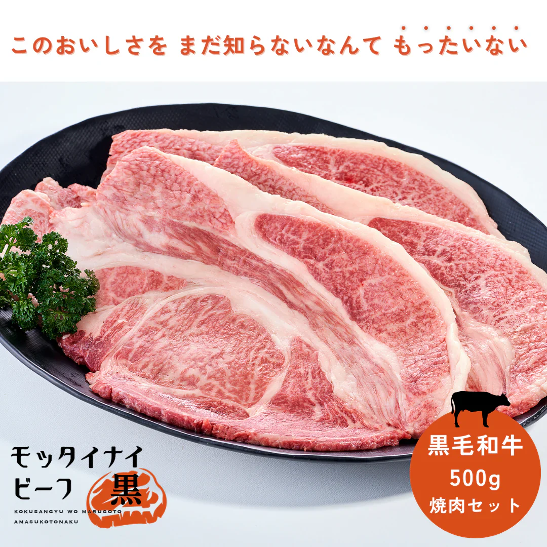 モッタイナイビーフ 黒（黒毛和牛 A4ランク以上 500g）