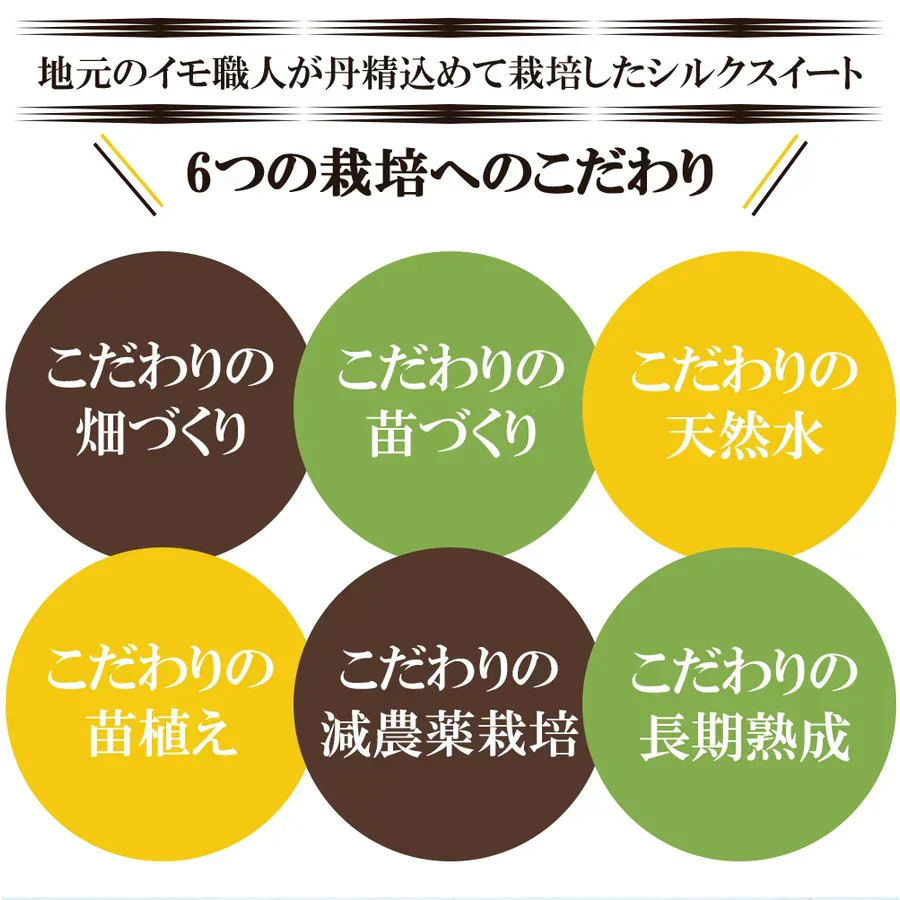 シルクスイート さつまいも 5kg 産地直送 産直 土付き さつま芋 薩摩芋 焼きいも 焼き芋 鹿児島県産 FJK-001