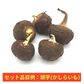 【送料無料】おせち・お雑煮等おまかせ年末年始用京野菜セット(8～10品目以上)【レシピ付】(堀川ごぼう、聖護院大根、小海老芋、京人参、雑煮大根、京小松菜、京柚子、頭芋、京甘藷、京くわい、山の芋、京辛味大根、京筍(水煮)、京芹など)