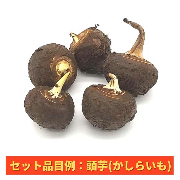 【送料無料】おせち・お雑煮等おまかせ年末年始用京野菜セット(8～10品目以上)【レシピ付】(堀川ごぼう、聖護院大根、小海老芋、京人参、雑煮大根、京小松菜、京柚子、頭芋、京甘藷、京くわい、山の芋、京辛味大根、京筍(水煮)、京芹など)