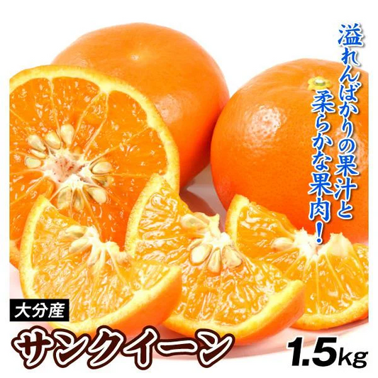 みかん　大分産　サンクイーン　1.5kg　ご家庭用（発送予定：2025年3月中旬より）