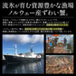 ズワイガニ ボイル ポーション 800g (NET650g)   むき身 ずわい蟹 カニ足 蟹 かに カニ ズワイ蟹 ズワイ ずわい カニしゃぶ しゃぶしゃぶ用 かに足 蟹足 冷凍 海鮮 グルメ 食べ物 送料無料 プレゼント