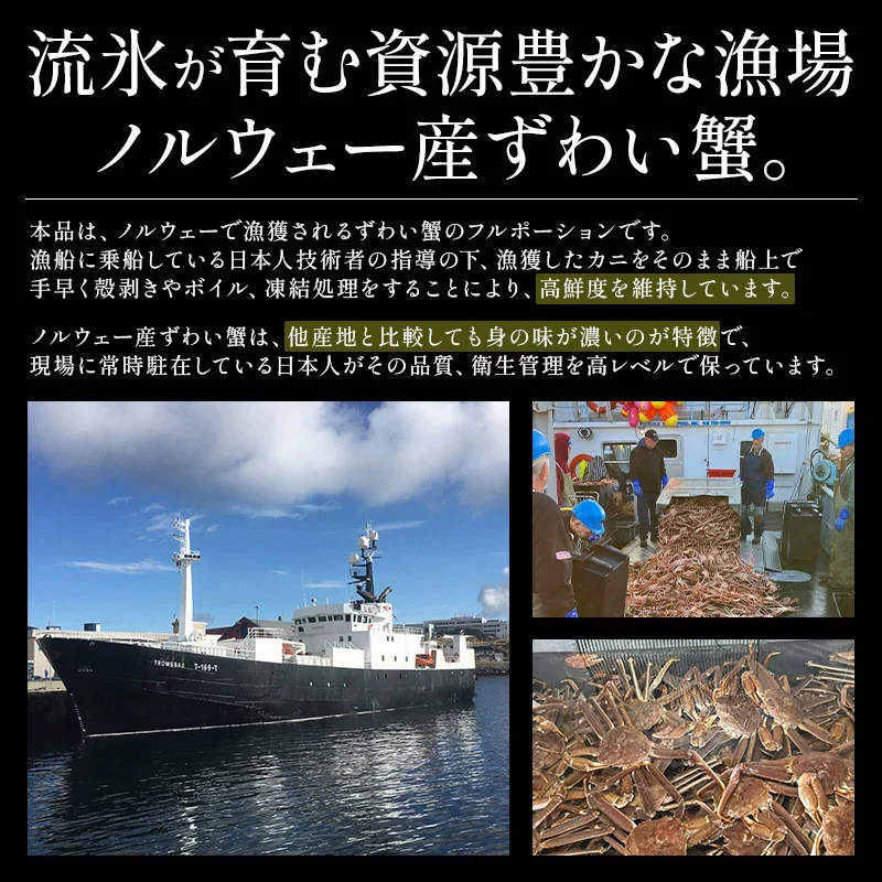 ズワイガニ ボイル ポーション 800g (NET650g)   むき身 ずわい蟹 カニ足 蟹 かに カニ ズワイ蟹 ズワイ ずわい カニしゃぶ しゃぶしゃぶ用 かに足 蟹足 冷凍 海鮮 グルメ 食べ物 送料無料 プレゼント