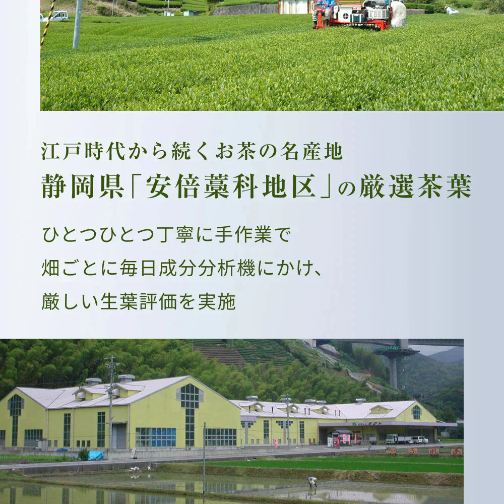 風土日和 べにふうき緑茶 粉末 高濃度 メチル化カテキン 80g べにふうき 静岡県産 農水大臣賞・日本農業賞受賞 花粉対策 花粉症 お茶