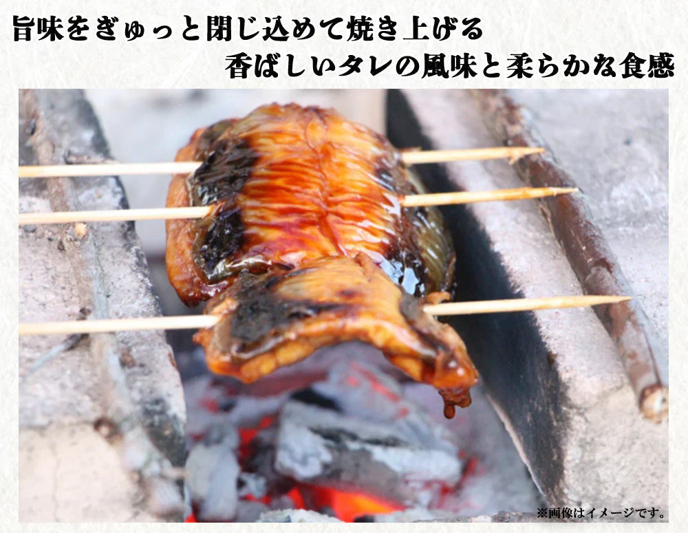 うなぎ蒲焼 鰻蒲焼 2尾 送料無料 特大サイズ 蒲焼 土用の丑の日 うなぎ ウナギ 鰻 中国産 メーカー直送 shr-021