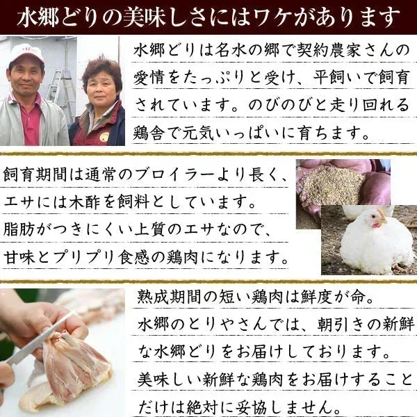 頑固職人オススメ焼き鳥10本セット（2本入×5種類） 焼き鳥 やきとり 焼鳥 串焼き 国産 焼き鳥セット 焼鳥セット 10本 タレ味 塩味 お試し おつまみ 家飲み BBQ ミールキット 冷凍 冷蔵