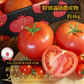 【特別栽培農産物】＼訳あり／ソムリエ トマト 4～5kg（18玉～36玉)ダイヤのオマケ付き