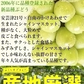 福島県産 秀品 シャインマスカット 大房２房セット