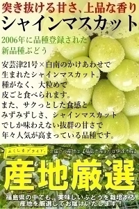 福島県産 秀品 シャインマスカット 大房２房セット