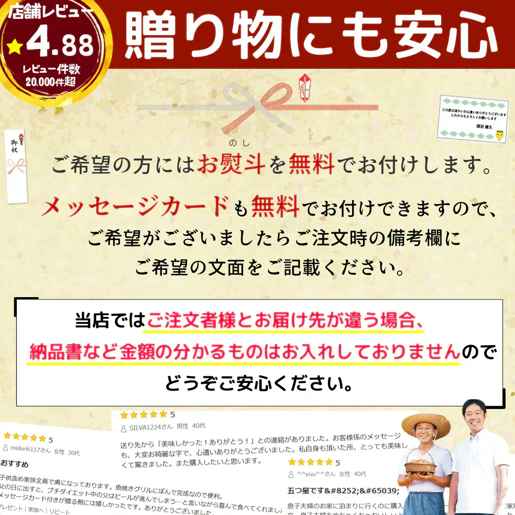 8秒に1本売れてる！手羽餃子 20本入 冷凍 餃子 国産鶏肉 惣菜 おかず 簡単調理 お取り寄せ グルメ 手羽先餃子 ビール おつまみ BBQ 人気 点心 送料無料