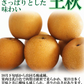福島県産　梨　なし　5kg箱　★秀品★品種おまかせ