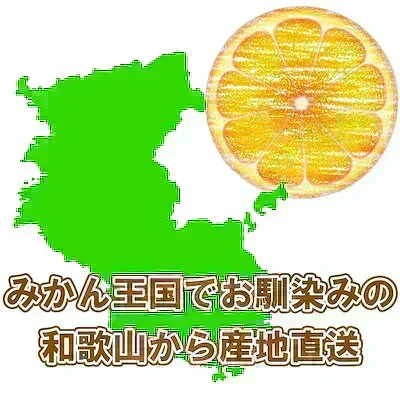 (10月下旬頃から順次発送の予約販売) みかん 激レア小粒 直径4.5cm前後 訳あり 和歌山有田みかん 5kg