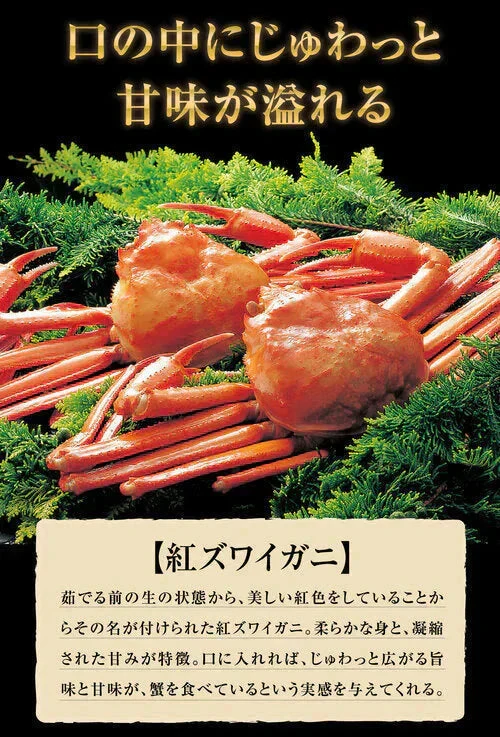 紅ズワイガニ M規格 ボイル 紅ズワイ カニ足 20本×2個 ボイル済み (ベトナム加工または、中国加工)  送料無料 超細い足 訳あり カニ ポーション 細いかに足 蟹［賞味期限：2026/8/31］