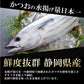 かつおのたたき わら焼き 訳あり 約1kg 約6〜8人前 送料無料 鰹 藁焼き カツオ たたき 静岡県産 鰹のたたき カツオのたたき おつまみ かつおたたき 冷凍 海鮮丼 個包装 おかず 刺身 たれ 付き 塩 ワケアリ