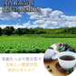 黒豆茶 １００包／国産丹波産１００％／便利なティーパック／健康茶／香ばしくておいしい
