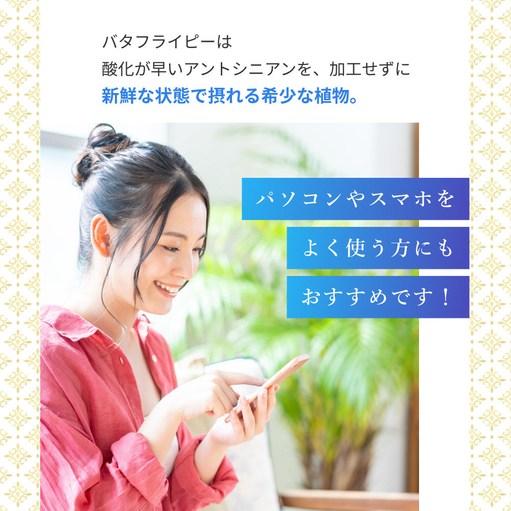 バタフライピー 無農薬 茶葉 50g 2袋 京都お茶工場製造 ハーブティー ノンカフェイン 無着色 無香料無農薬 青いお茶 青い花 蝶豆花茶 映え タイ ブルー ハーバルティー アントシアニンが豊富 エイジングケア 美容 健康 天然色素 オーガニック