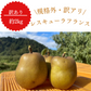レスキューラフランス 訳あり 規格外 2kg 洋梨 山形県産 家庭用  果物 フルーツフードロス削減・食品ロス削減