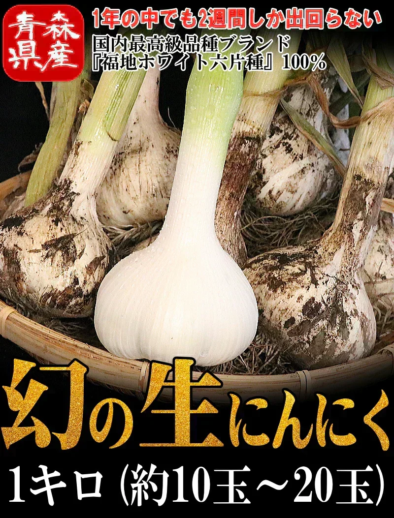 【即日発送】青森県産 幻の生にんにく 1kg【冷蔵便】 令和8年度産 Mサイズ以上L～2L混合