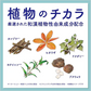 アクネスラボ スキンケアお試しセット×10個