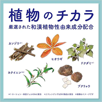 アクネスラボ スキンケアお試しセット×10個