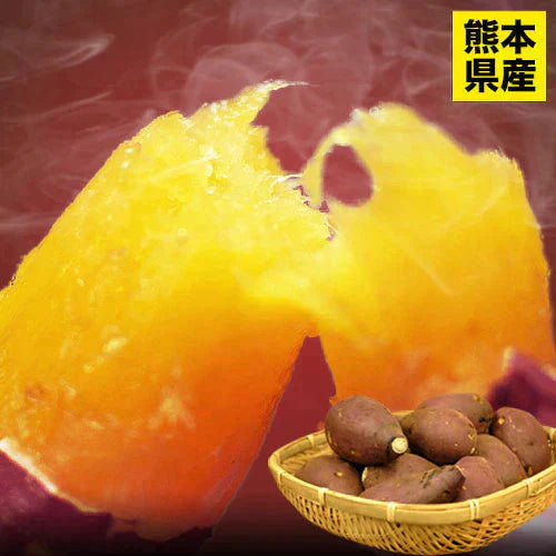 さつまいも 紅はるか べにはるか 1.5kg 送料無料 芋 熊本県産 スイーツ お取り寄せ 11月上旬-12月上旬頃より発送予定