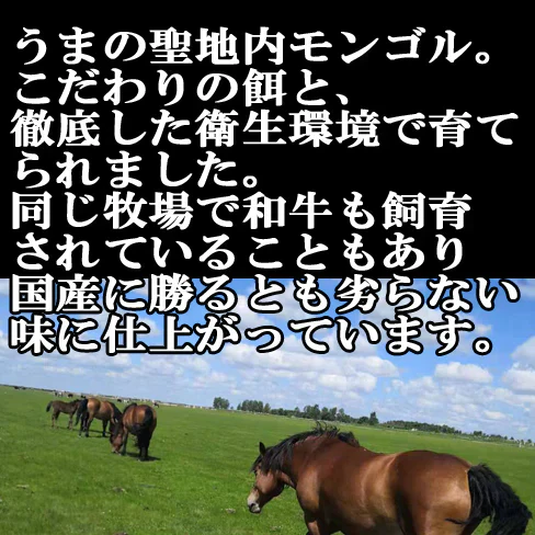 馬刺し　レバー　300g