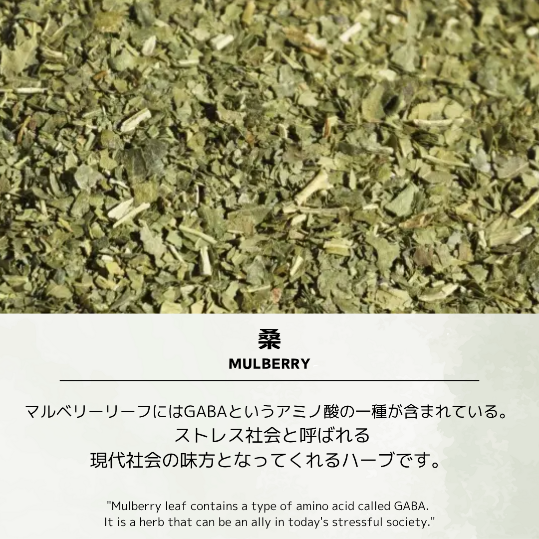 桑の葉茶／約66杯／大容量でお得／ノンカフェイン／国内製造／無香料・無着色／ハーブティー/お茶