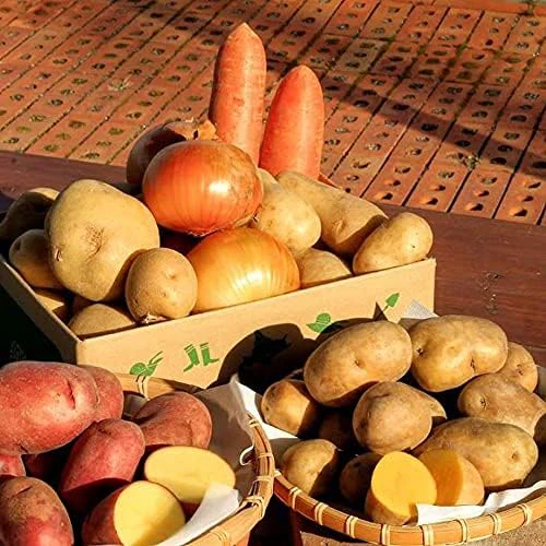 北海道 十勝産 選べる美味しい野菜セット Lセット 玉ねぎ 人参 じゃがいも セット販売 インカのめざめ レッドムーンプレゼント お土産 お歳暮 お中元 ギフト (Lセット 11kg)