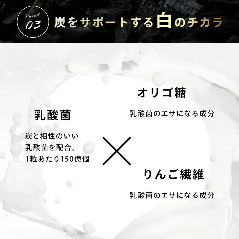 炭の恵み《約3ヶ月分》  炭 ダイエット サプリ サプリメント チャコールクレンズ  乳酸菌 炭サプリ オリゴ糖 炭クレンズ りんご線維 食物繊維 黒酢 もろみ 黒生姜 赤松炭【大容量】