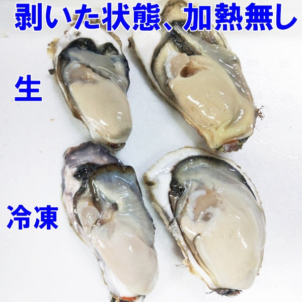 急速凍結 生食用冷凍牡蠣 殻付き 牡蠣 送料無料 ２ｋｇ（目安20個程度） 冷凍便 牡蠣 殻付き 殻付 カキ 牡蛎 かき 松島牡蠣屋 BBQ バーべキュー 二枚貝 貝類  kaki かきカキ