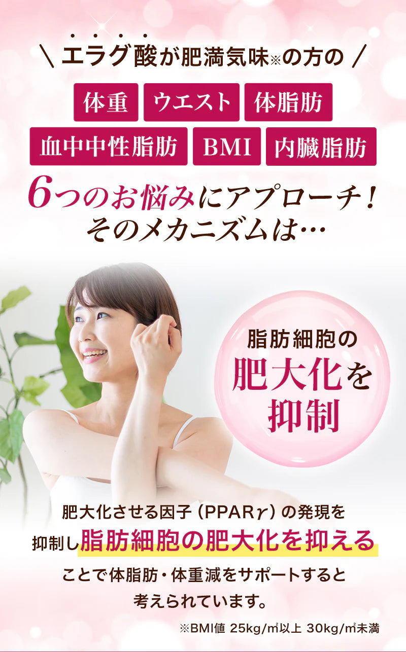 【最短当日出荷】機能性表示食品 プーアール茶 ヘルシーボ 30個入 ( 肥満気味の方 体重 ウエスト 体脂肪 血中中性脂肪 BMI 内臓脂肪 サポート エラグ酸 ザクロ エキス ダイエット サポート ダイエット茶 健康茶 ティーバッグ ティーライフ )