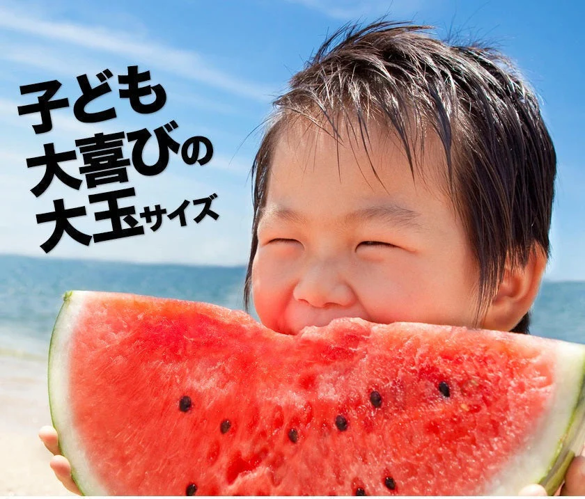 衝撃BIGサイズ！ 熊本県産 訳あり ジャンボスイカ 1玉（約6.8kg前後-約8kg前後）ジャンボすいか スイカ  すいか 旬 の 果物 夏 キャンプ バーベキュー BBQ 食材 デザート 家庭用 自家用 フルーツ 果物