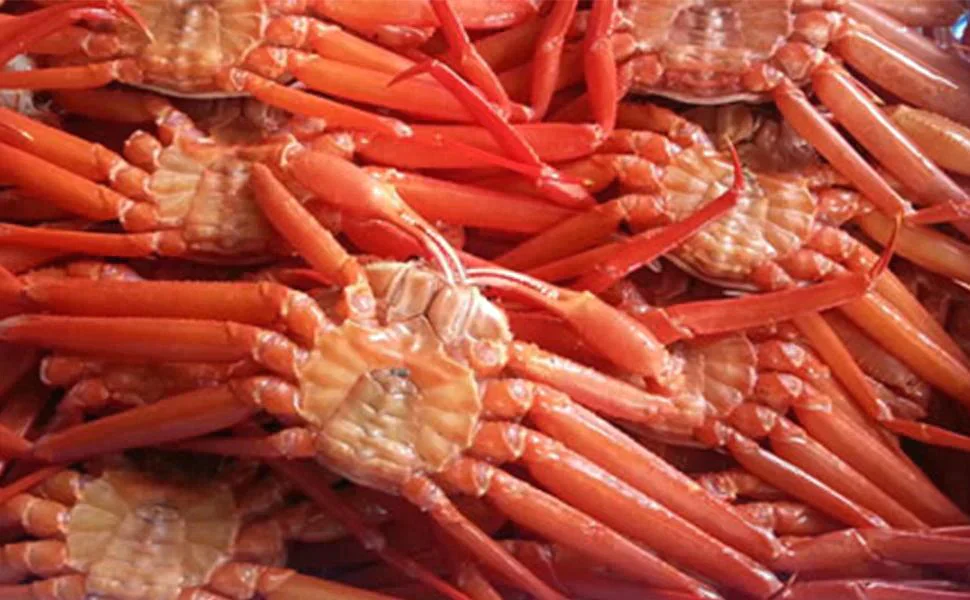 【北海道直送】国産冷凍 ボイル済 紅ズワイガニ姿 約4kg (6~8杯入) A品 2022年新物 第七十八宝樹丸 松田船長 漁師さん応援キャンペーン 4kg×1箱 冷凍品 国産無添加【エコ得】