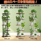 鉄製5段フラワースタンド ブラック ラック アイアン ガーデニング 園芸 コレクション 観葉植物 植物棚 花台