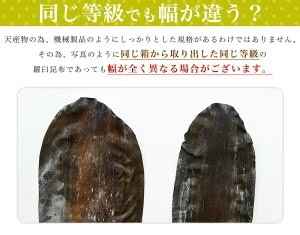 [大袋] 羅臼産 切り出し昆布 310g 徳用サイズ
