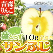 なりたりんご園 家庭用 葉とらず サンふじ 家庭用 約10kg箱(約28～40個入)