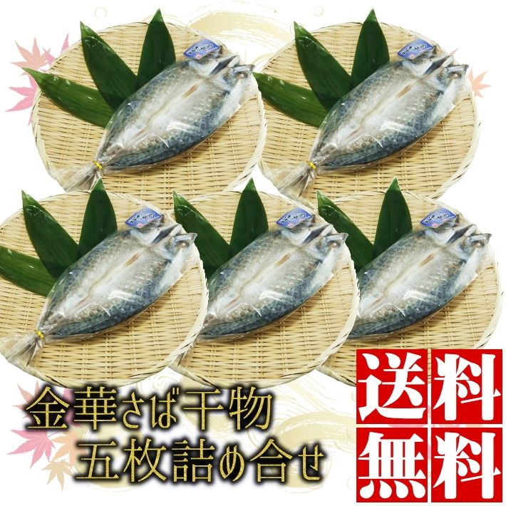 石巻の至宝 金華さば開き干し 5枚セット 送料無料 金華サバ 金華鯖 無添加 さば 干物 宮城 石巻