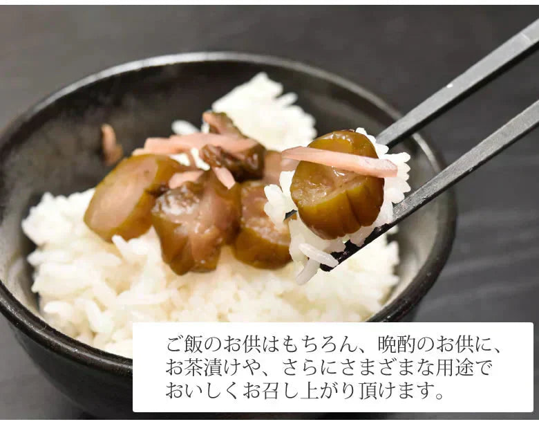 しば漬 漬物 きざみきゅうり漬け 600g（150g×4袋） 送料無料 ポッキリ 宮崎県産 お取り寄せ お取り寄せグルメ きゅうり しそ しょうが なす みょうが つけもの