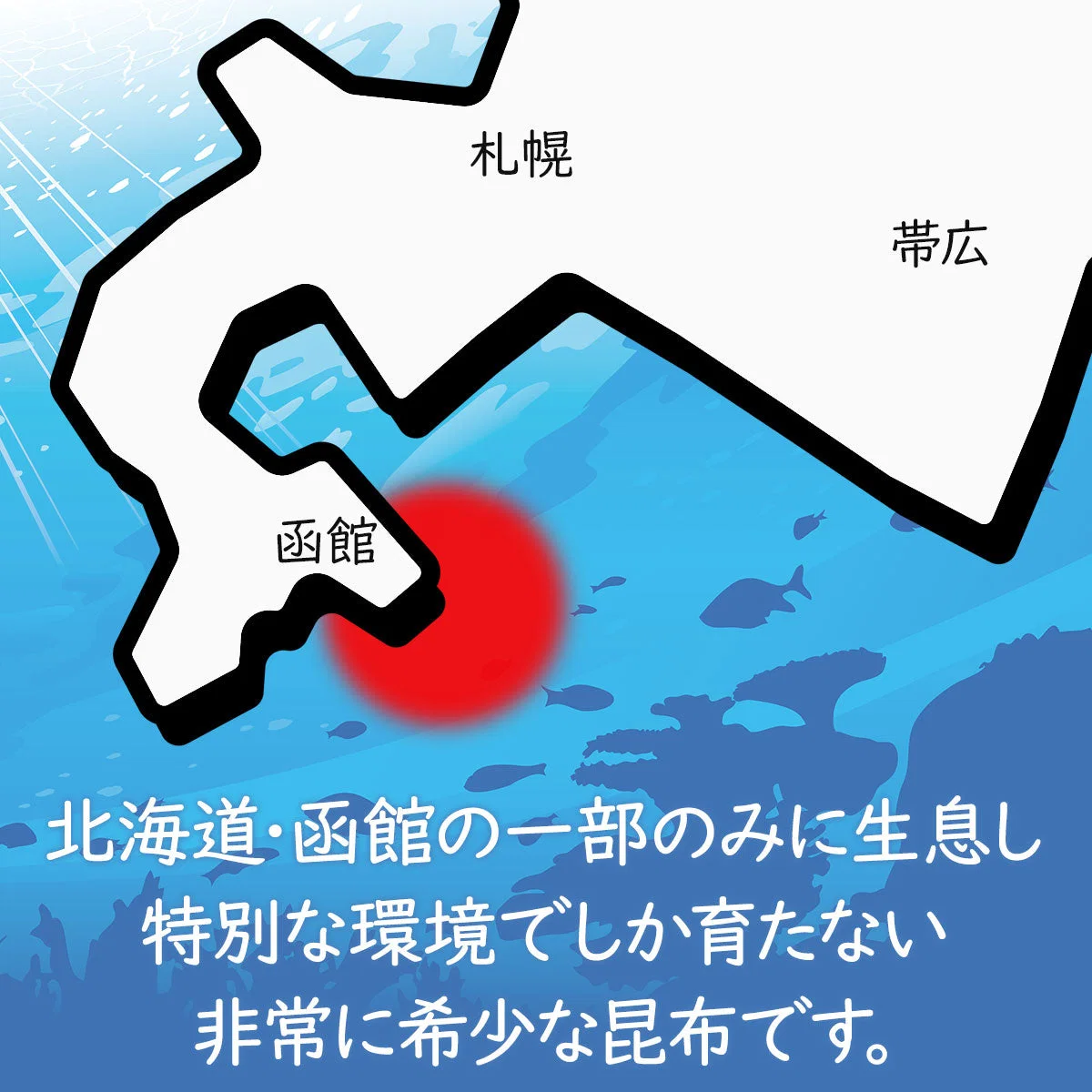 「ヌメ活」 で健康＆美肌習慣！がごめ昆布スープ ×4袋セット 48食 非常食 保存食 送料無料