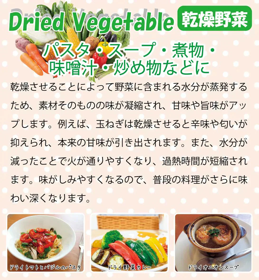 ドライフードメーカー 1個 【発送予定は商品詳細説明参照】 食品乾燥機 野菜乾燥機 ドライフルーツ ドライ野菜