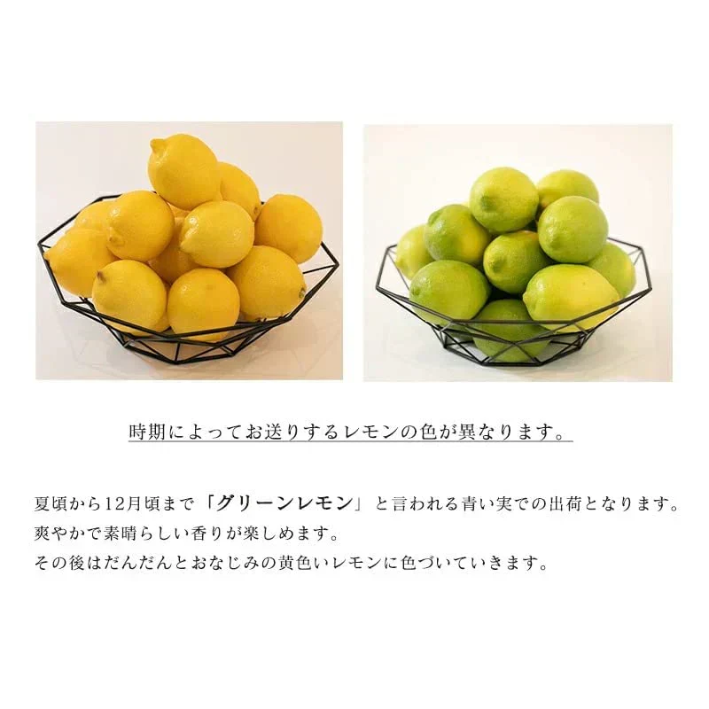 [みさわのやさい]  レモン 国産  訳あり 3kg 皮まで食べられる ノーワックス 防腐剤 防カビ剤 不使用
