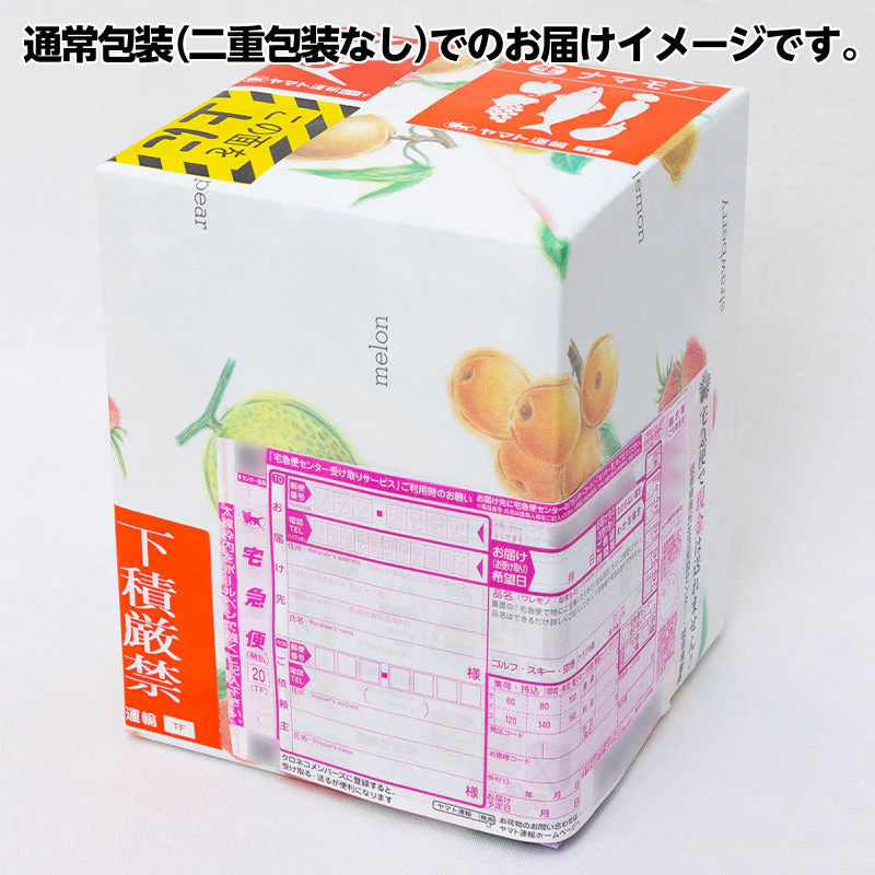送料無料 敬老の日 お供え　国産 果物 プレゼント メロン 誕生日プレゼント 誕生日 お見舞 御礼 お祝 フルーツ ギフト 内祝 お返し 退院祝い 静岡産 マスクメロン 国産 手土産