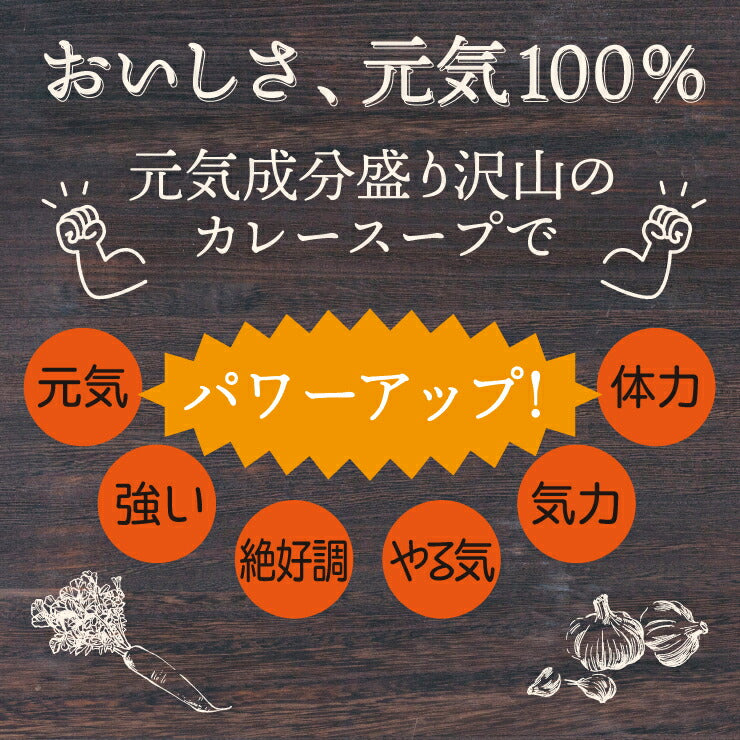 50包 すごい元気カレースープ