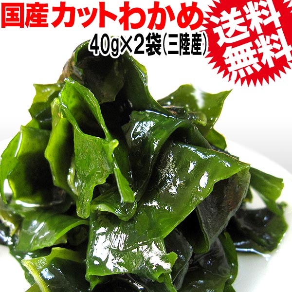 【3人シェア買いでお得】若布 カットわかめ 40g×2袋 国産 乾燥 お試しセット 送料無料