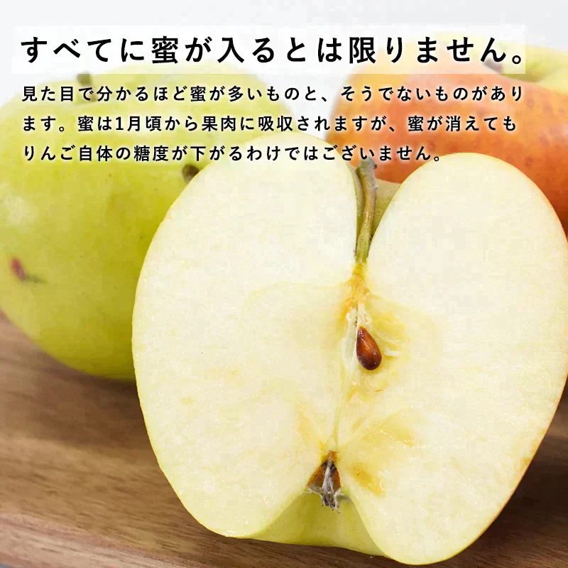 【ただいま発送中！】青森県産 訳あり ぐんま名月 約10kg※11月中旬頃からご予約順に発送予定※家庭用 青森 りんご 林檎 群馬名月 果物 フルーツ 送料無料 ks