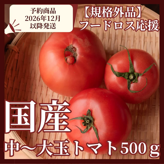 【予約商品・2026年12月初旬ごろ順次発送～2027年2月末までに発送】国産！家計応援価格！規格外品 中～大玉トマト 約500g（最低300g以上）(2玉～6玉) 【カウシェファーム収穫対象商品】