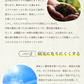 送料無料　ソムリエミニ トマト プラチナ100gとダイヤ100gの食べ比べセット