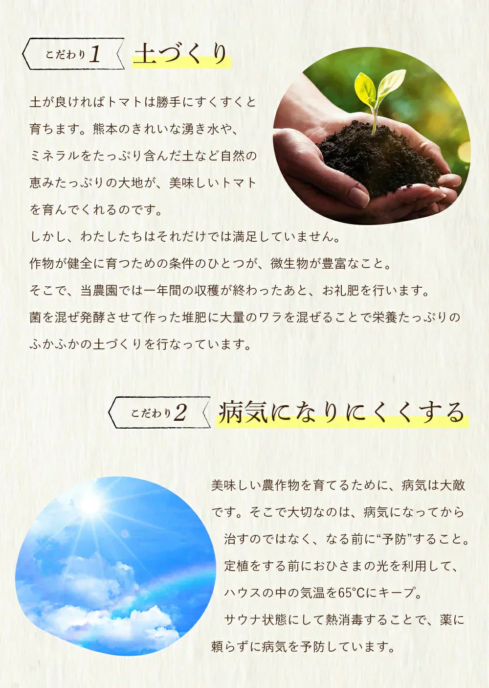 送料無料　ソムリエミニ トマト プラチナ100gとダイヤ100gの食べ比べセット