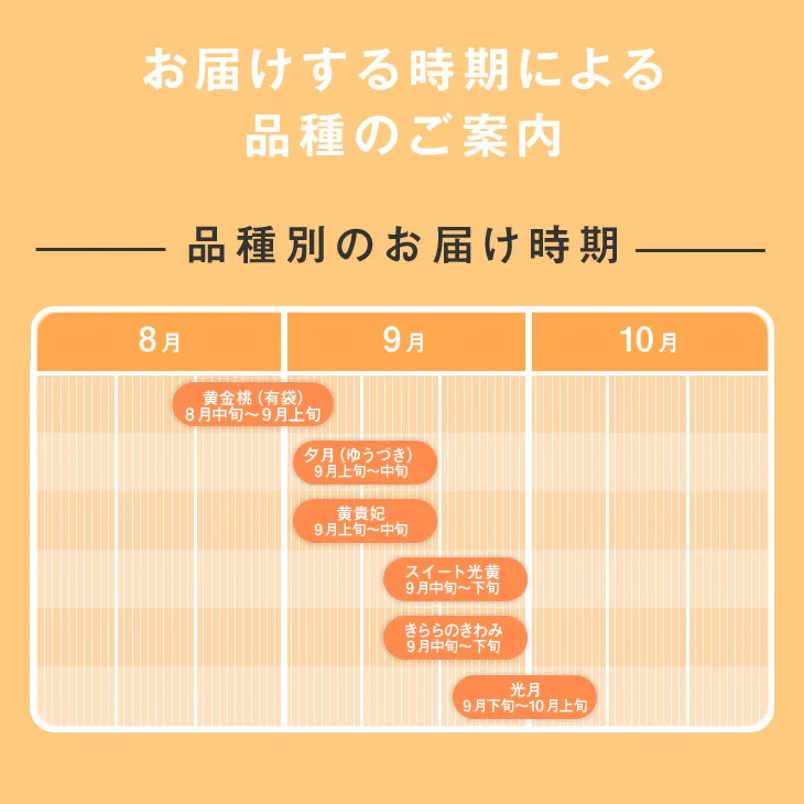 【早期予約】訳あり山形県産黄桃品種おまかせ約2kg(玉数おまかせ) ※一部地域は別途送料 果物　フルーツ　pc06