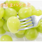 シャインマスカット ぶどう 送料無料 1kg 2〜3房 九州産 マスカット 葡萄 ブドウ